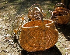 basket with pine roots